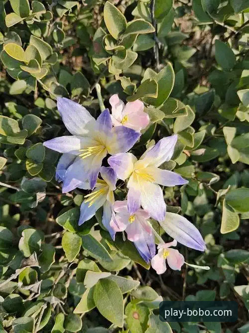 紫百合赛季起伏深度分析：从前四希望到保级挣扎，佛罗伦萨危机中的转型信号
