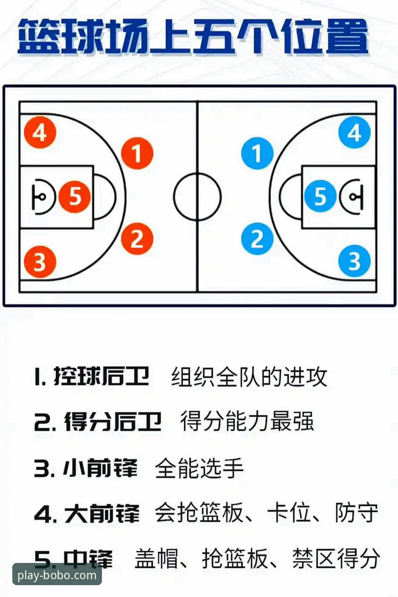 资深用户分享：如何通过9博体育平台深度解读WCBA总决赛G1的实用指南